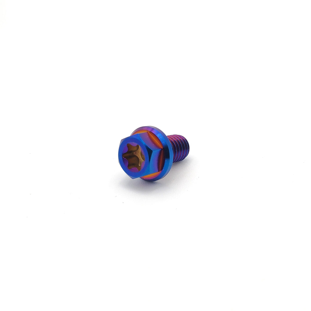 Titanium M6 Bolts (Collective)