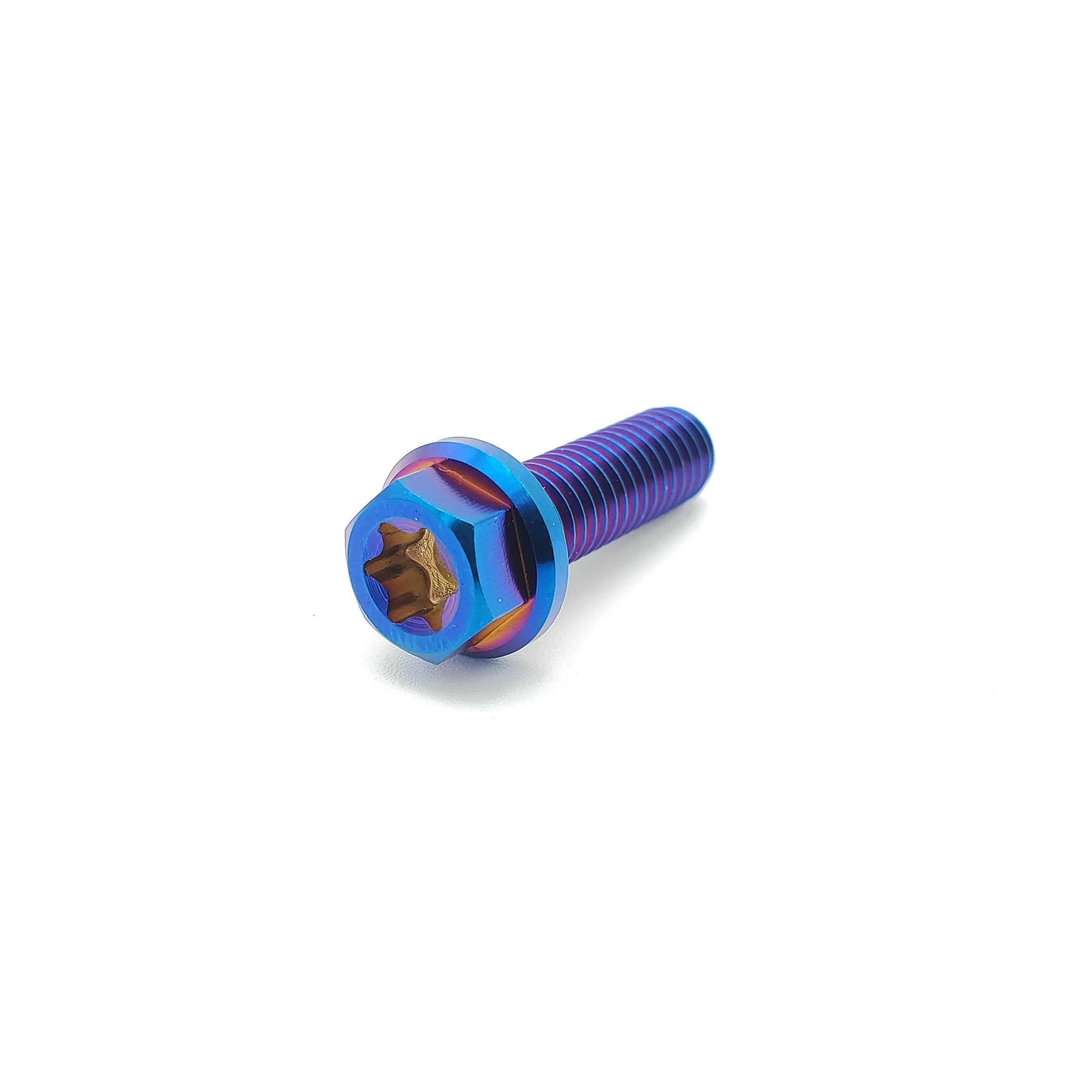 Titanium M6 Bolts (Collective)