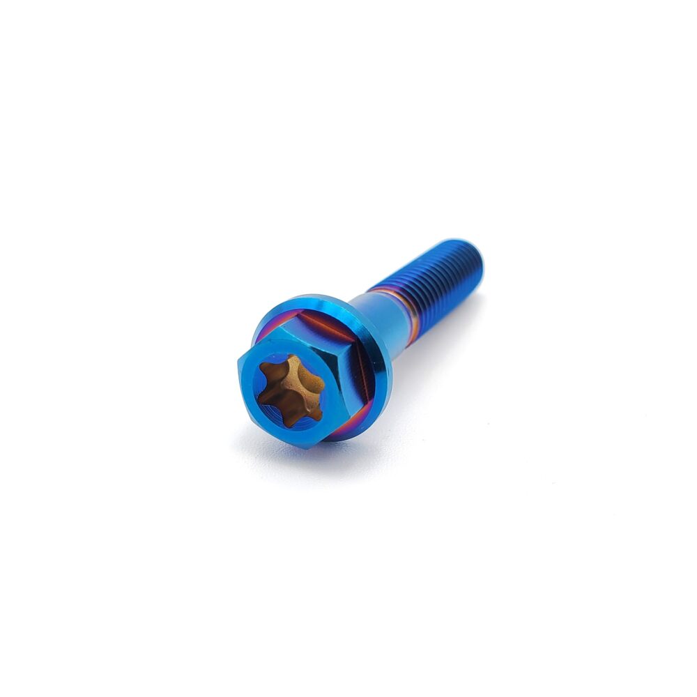 Titanium M6 Bolts (Collective)