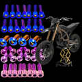 Sur-Ron Ultra Bee titanium bolt kit, 41-piece set