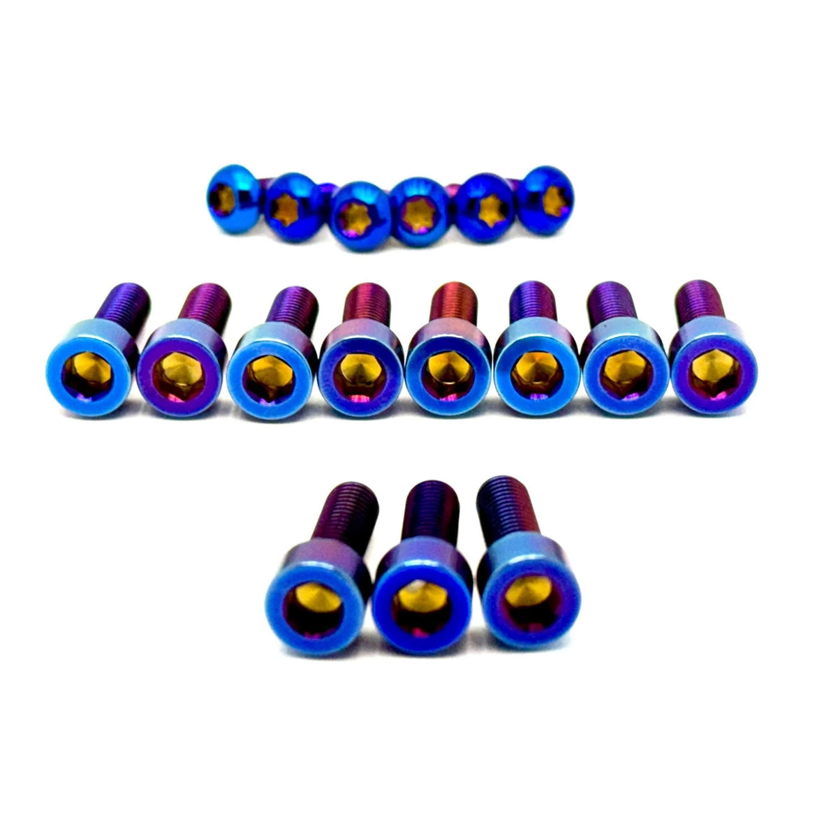 Titanium Bolt Kit for E-Ride Pro SR and Pro SS 3.0 Factory FastAce Fork (ALX32RC)(Set of 17) Axbolts